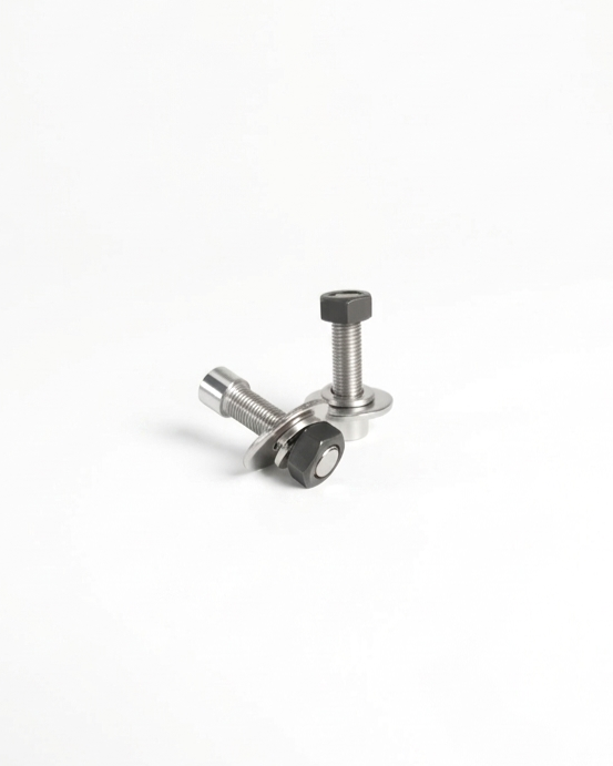 	Silver passenger foot pegs for e-bikes with peg mounts