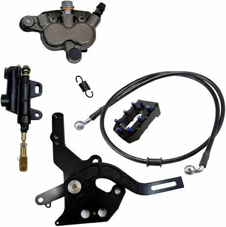 Footbrake assembly showing pedal, master cylinder, caliper, hose and footpeg